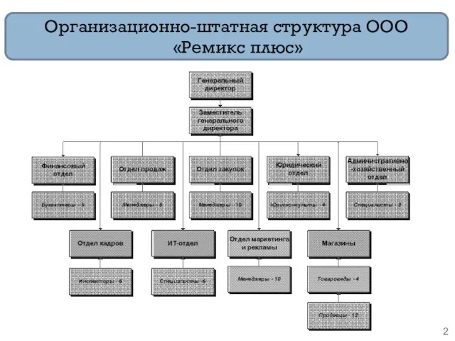 Организационно-штатная структура ООО «Ремикс плюс»