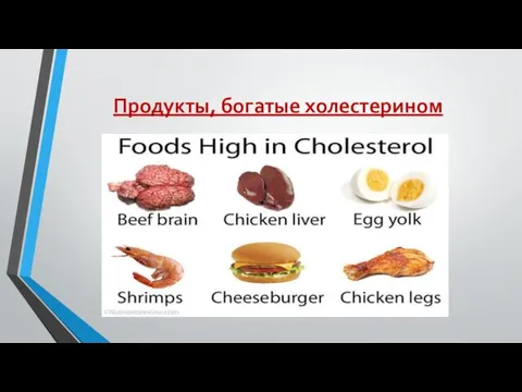 Продукты, богатые холестерином