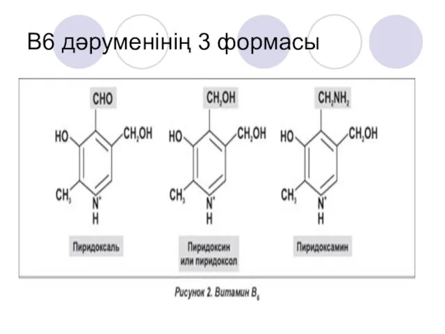 В6 дәруменінің 3 формасы