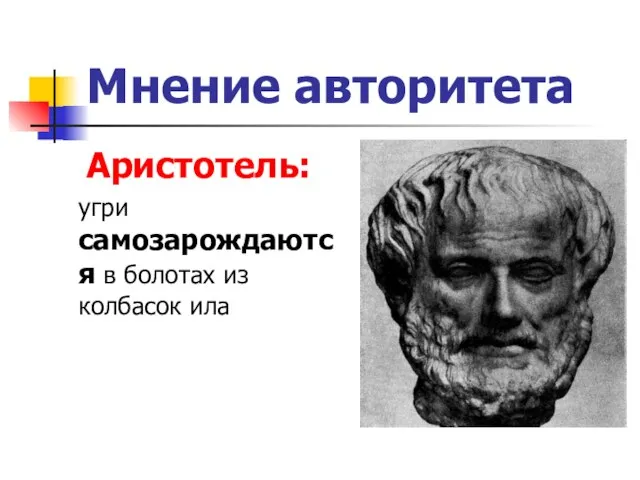 Мнение авторитета Аристотель: угри самозарождаются в болотах из колбасок ила