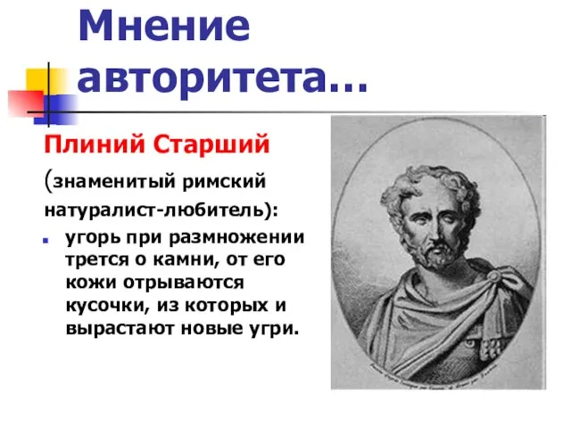 Мнение авторитета… Плиний Старший (знаменитый римский натуралист-любитель): угорь при размножении трется