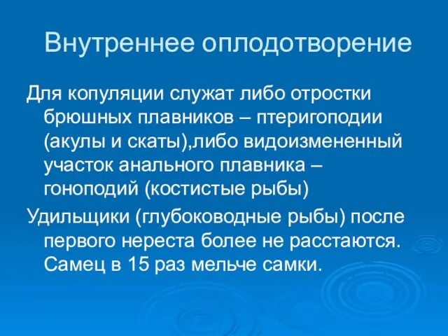 Внутреннее оплодотворение Для копуляции служат либо отростки брюшных плавников – птеригоподии