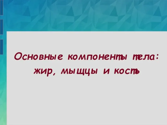 Основные компоненты тела: жир, мыщцы и кость