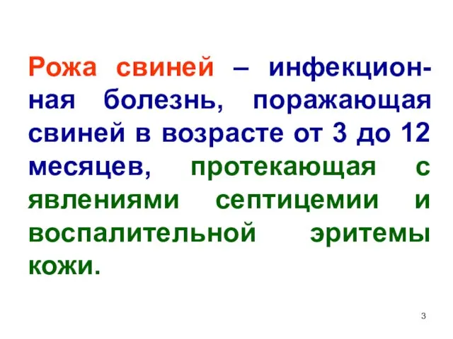 Рожа свиней – инфекцион-ная болезнь, поражающая свиней в возрасте от 3