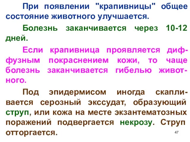 При появлении "крапивницы" общее состояние животного улучшается. Болезнь заканчивается через 10-12