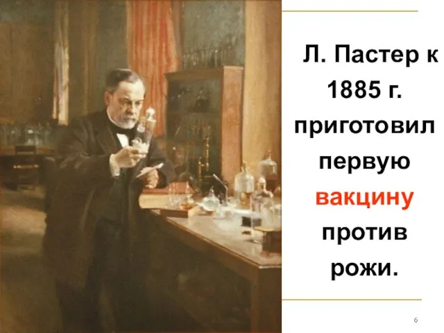 Л. Пастер к 1885 г. приготовил первую вакцину против рожи.