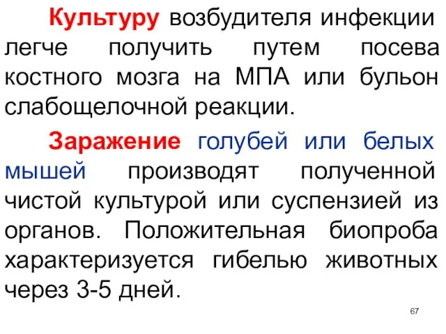 Культуру возбудителя инфекции легче получить путем посева костного мозга на МПА