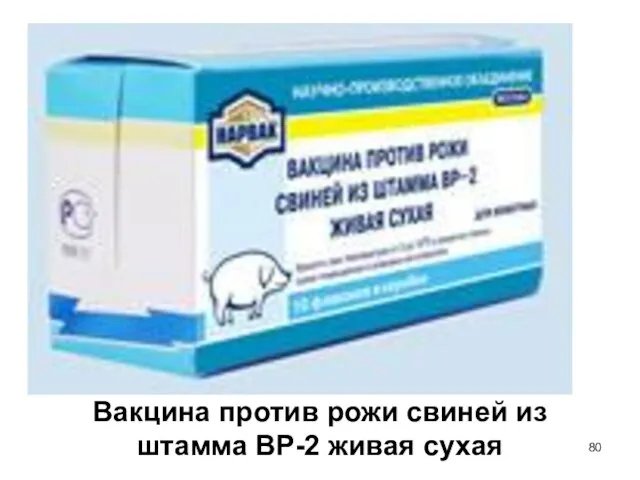 Вакцина против рожи свиней из штамма ВР-2 живая сухая