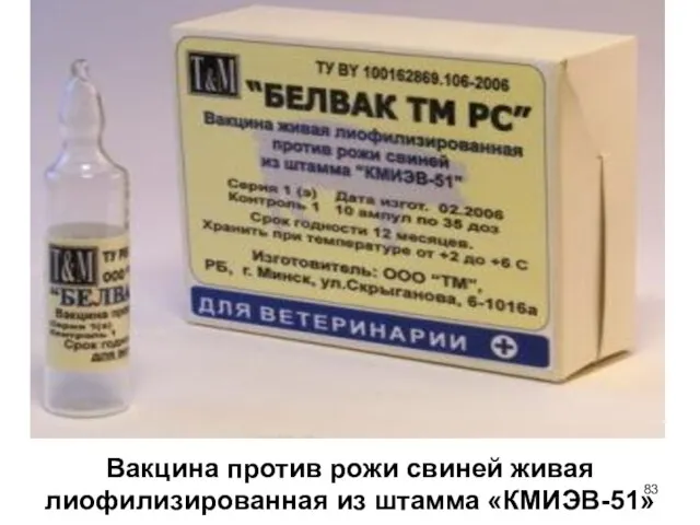 Вакцина против рожи свиней живая лиофилизированная из штамма «КМИЭВ-51»