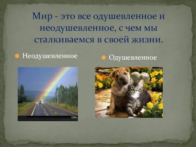 Мир - это все одушевленное и неодушевленное, с чем мы сталкиваемся в своей жизни. Неодушевленное Одушевленное