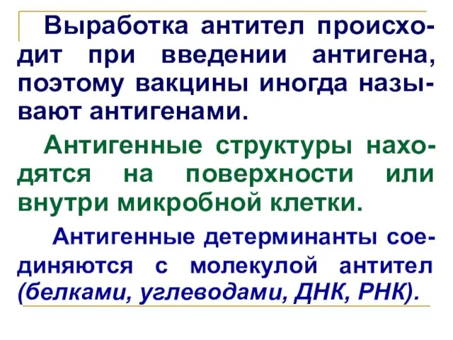 Выработка антител происхо-дит при введении антигена, поэтому вакцины иногда назы-вают антигенами.