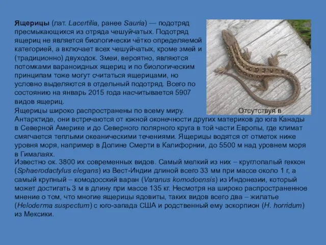 Ящерицы (лат. Lacertilia, ранее Sauria) — подотряд пресмыкающихся из отряда чешуйчатых.