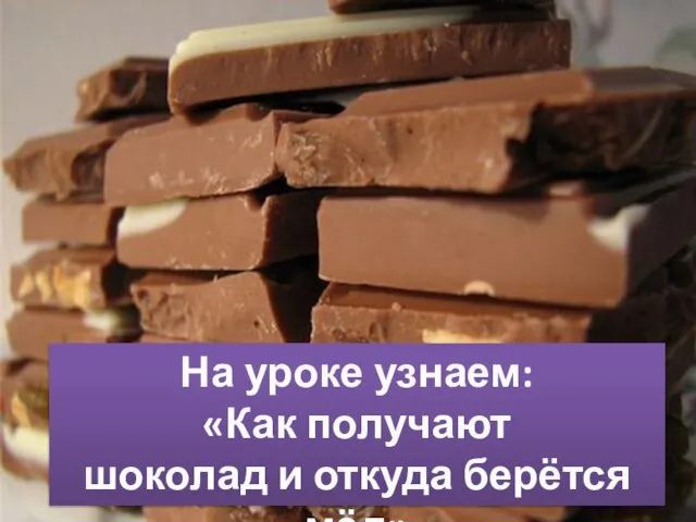 На уроке узнаем: «Как получают шоколад и откуда берётся мёд»