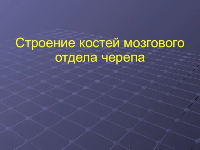 Строение костей мозгового отдела черепа