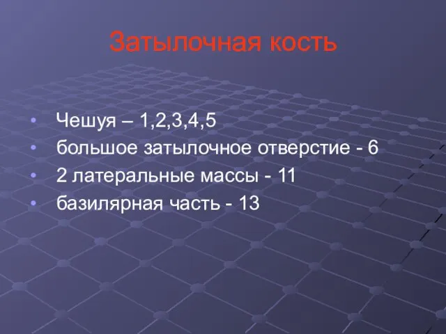 Затылочная кость Чешуя – 1,2,3,4,5 большое затылочное отверстие - 6 2