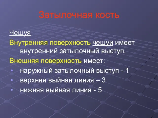 Затылочная кость Чешуя Внутренняя поверхность чешуи имеет внутренний затылочный выступ. Внешняя