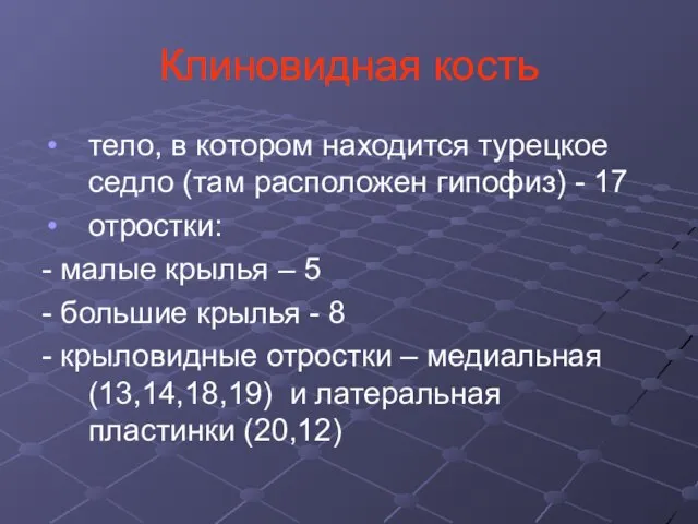 Клиновидная кость тело, в котором находится турецкое седло (там расположен гипофиз)