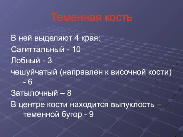 Теменная кость В ней выделяют 4 края: Сагиттальный - 10 Лобный