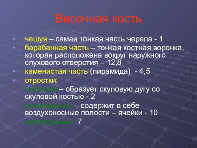 Височная кость чешуя – самая тонкая часть черепа - 1 барабанная