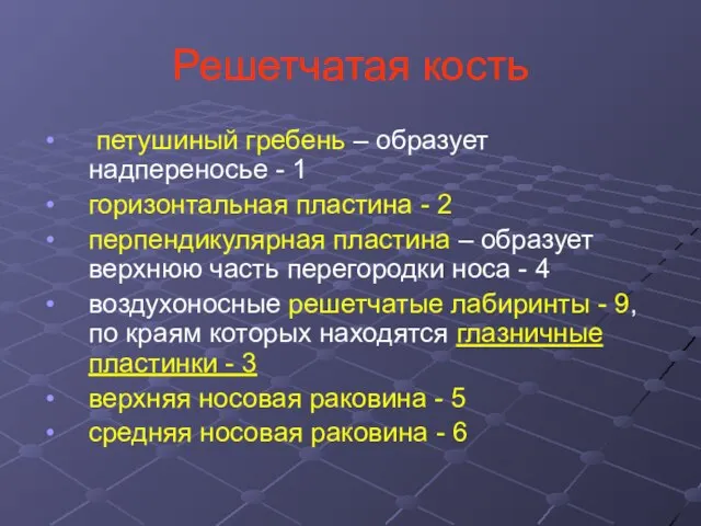 Решетчатая кость петушиный гребень – образует надпереносье - 1 горизонтальная пластина