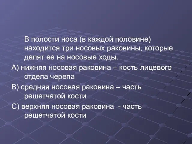 В полости носа (в каждой половине) находится три носовых раковины, которые