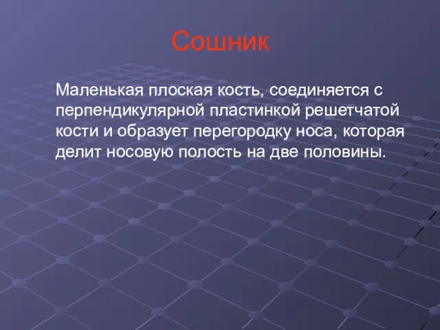 Сошник Маленькая плоская кость, соединяется с перпендикулярной пластинкой решетчатой кости и