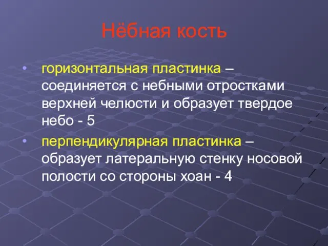 Нёбная кость горизонтальная пластинка – соединяется с небными отростками верхней челюсти