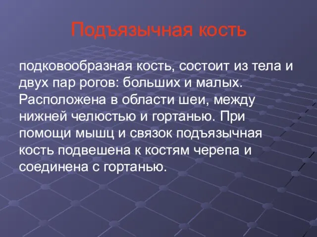 Подъязычная кость подковообразная кость, состоит из тела и двух пар рогов: