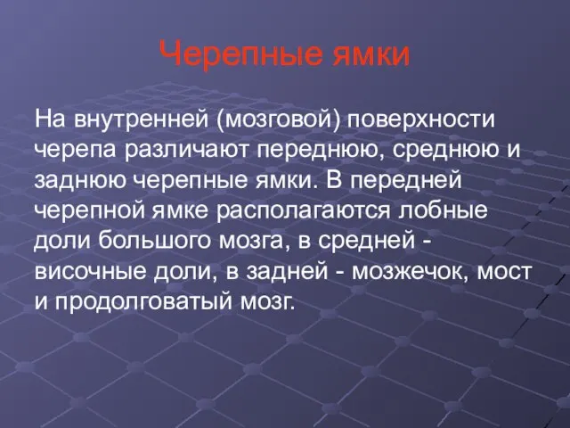 Черепные ямки На внутренней (мозговой) поверхности черепа различают переднюю, среднюю и