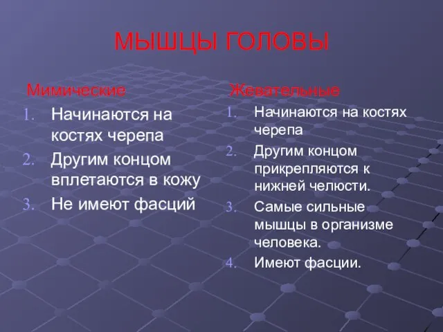 МЫШЦЫ ГОЛОВЫ Мимические Начинаются на костях черепа Другим концом вплетаются в