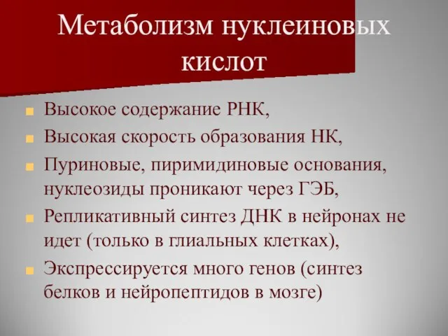 Метаболизм нуклеиновых кислот Высокое содержание РНК, Высокая скорость образования НК, Пуриновые,