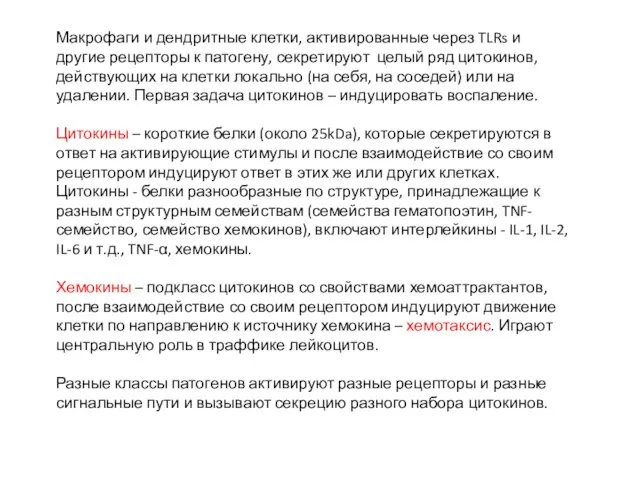 Макрофаги и дендритные клетки, активированные через TLRs и другие рецепторы к