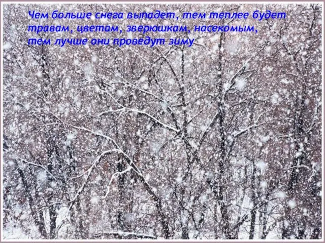 Чем больше снега выпадет, тем теплее будет травам, цветам, зверюшкам, насекомым, тем лучше они проведут зиму