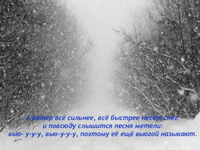 А ветер всё сильнее, всё быстрее несёт снег и повсюду слышится