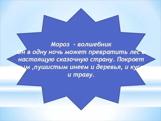 Мороз - волшебник Он в одну ночь может превратить лес в