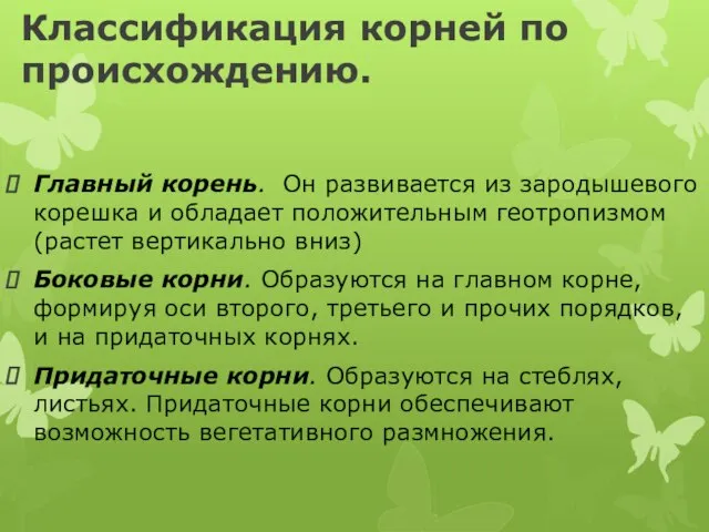 Классификация корней по происхождению. Главный корень. Он развивается из зародышевого корешка