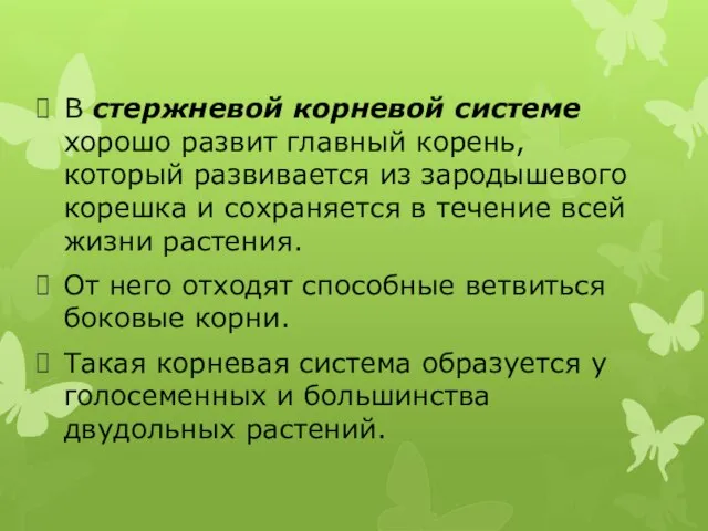 В стержневой корневой системе хорошо развит главный корень, который развивается из