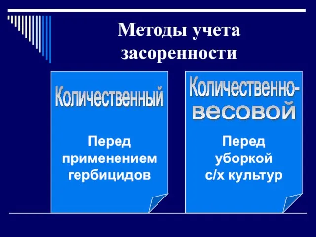 Методы учета засоренности