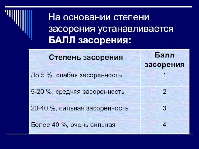 На основании степени засорения устанавливается БАЛЛ засорения: