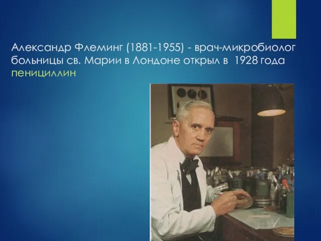 Александр Флеминг (1881-1955) - врач-микробиолог больницы св. Марии в Лондоне открыл в 1928 года пенициллин