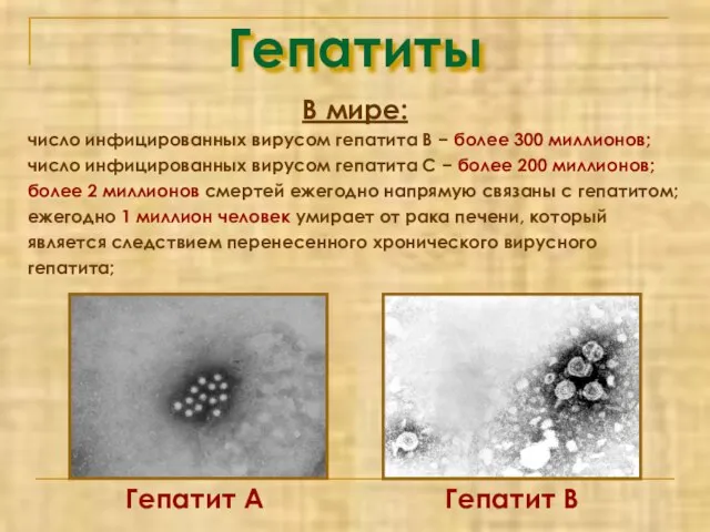 Гепатиты В мире: число инфицированных вирусом гепатита В − более 300