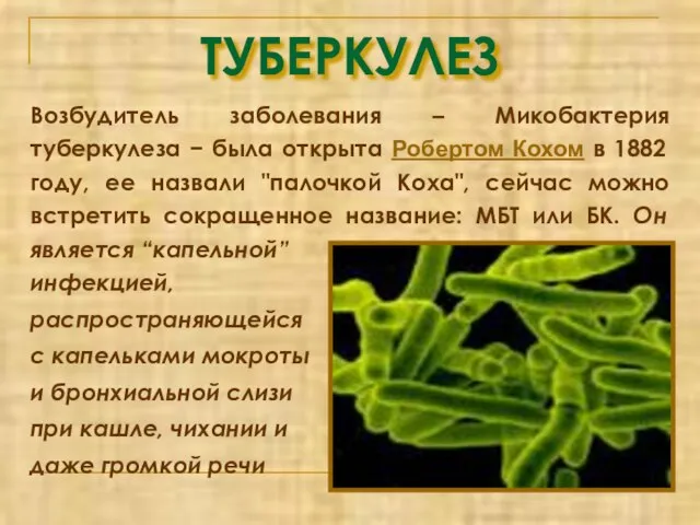 ТУБЕРКУЛЕЗ Возбудитель заболевания – Микобактерия туберкулеза − была открыта Робертом Кохом