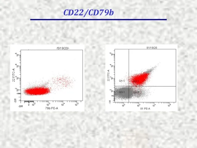 CD22/CD79b