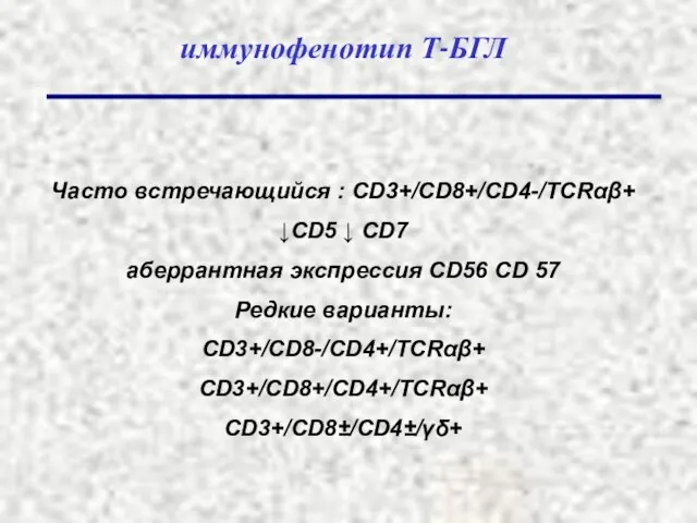 иммунофенотип Т-БГЛ Часто встречающийся : CD3+/CD8+/CD4-/TCRαβ+ ↓CD5 ↓ CD7 аберрантная экспрессия