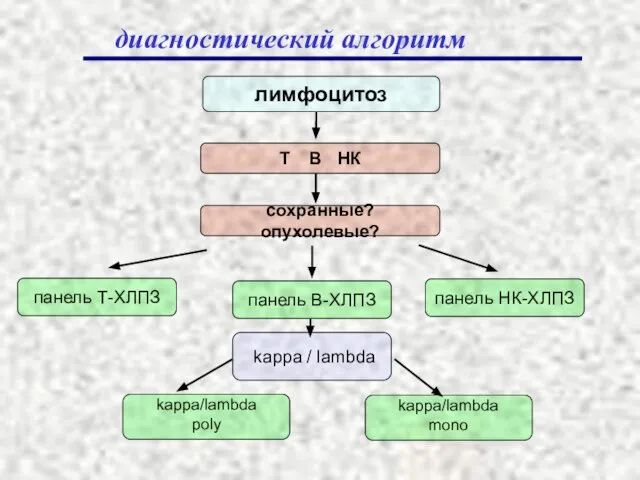 лимфоцитоз сохранные? опухолевые? kappa / lambda kappa/lambda poly диагностический алгоритм Т