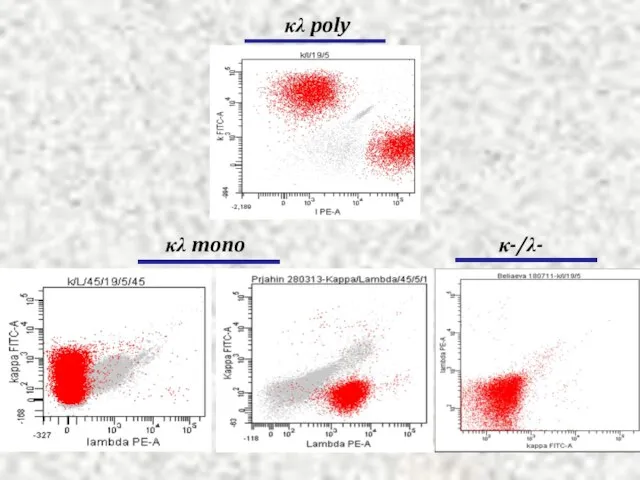 κλ poly κλ mono κ-/λ-