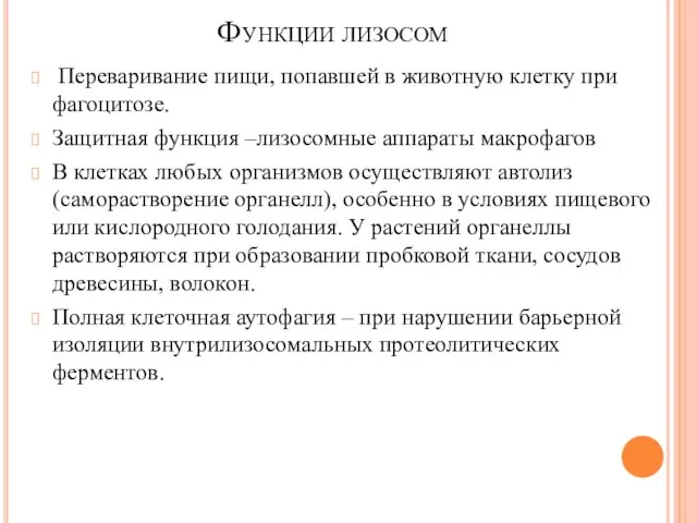 Функции лизосом Переваривание пищи, попавшей в животную клетку при фагоцитозе. Защитная