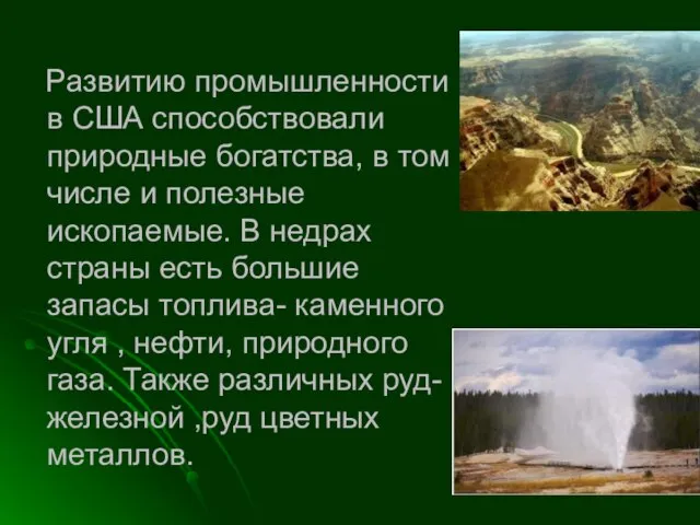 Развитию промышленности в США способствовали природные богатства, в том числе и