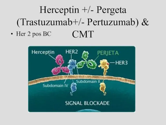 Herceptin +/- Pergeta (Trastuzumab+/- Pertuzumab) & CMT Her 2 pos BC