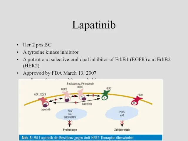 Lapatinib Her 2 pos BC A tyrosine kinase inhibitor A potent